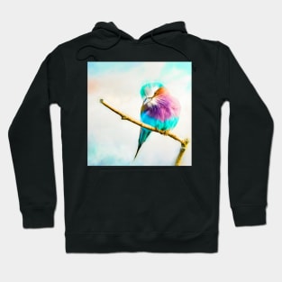 Lilac breasted roller Hoodie